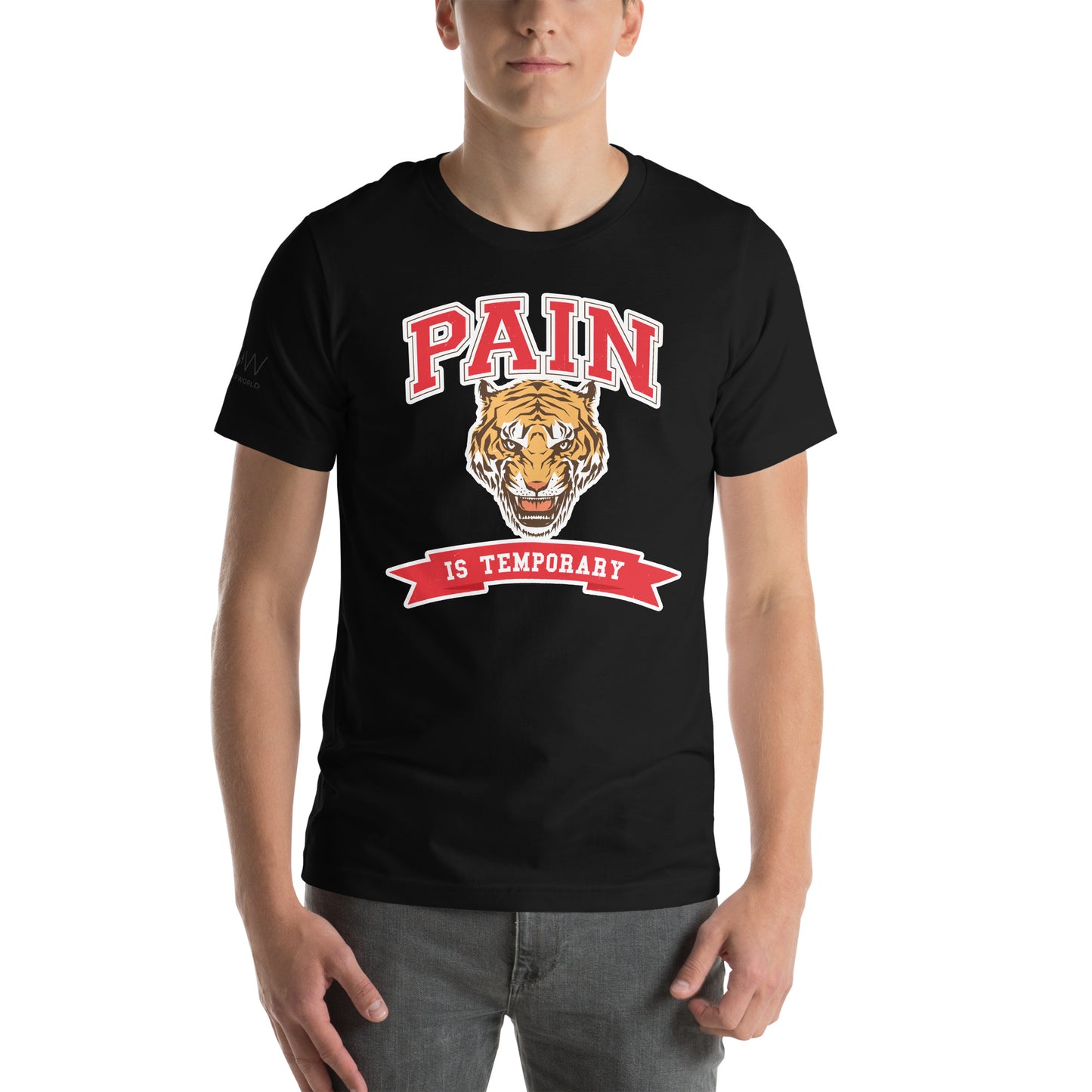 Pain Is Temporary IV Men's Motivational Black T-Shirt