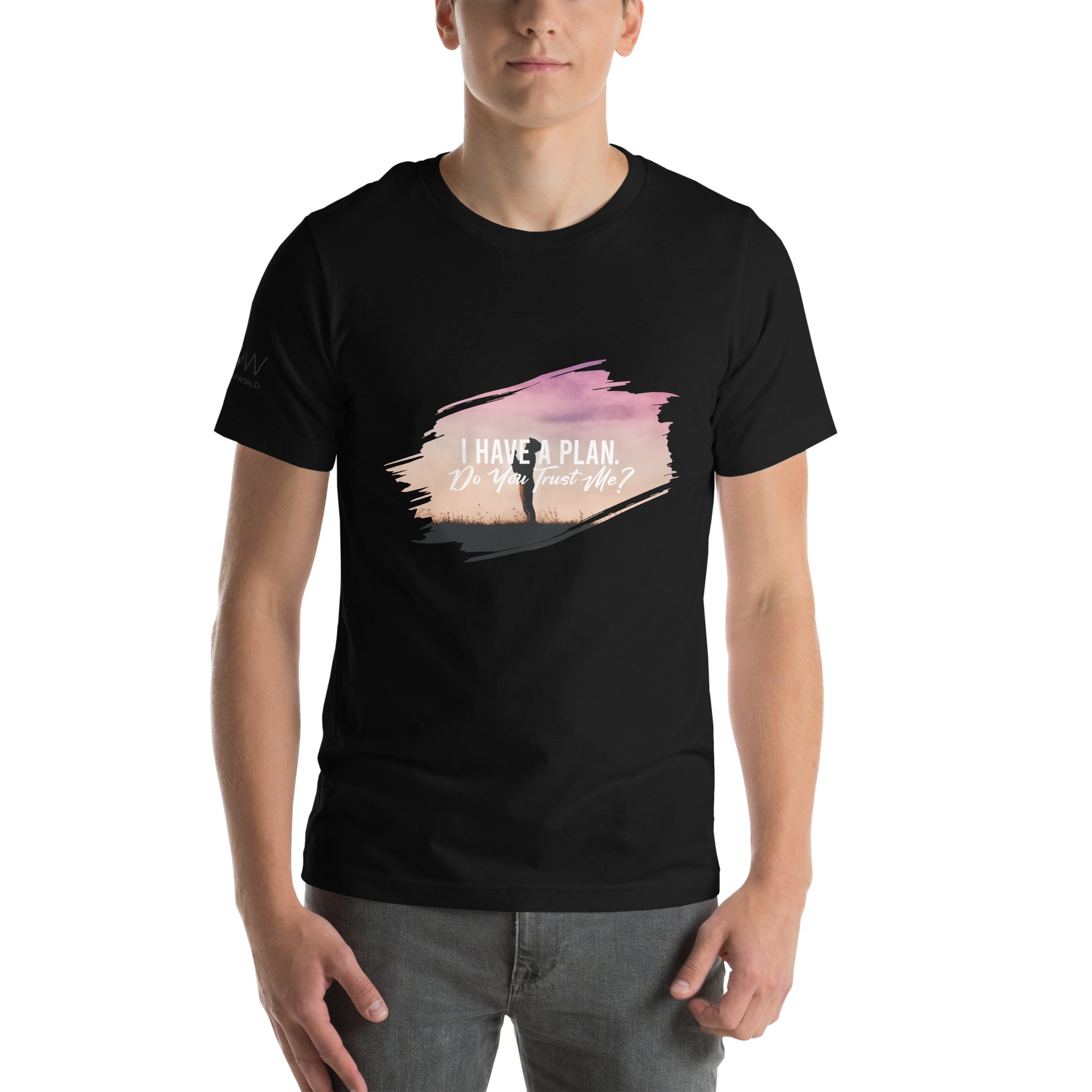 I Have a Plan. Do You Trust Me? - Sunset Reflection Men's Motivational Black T-Shirt